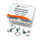 QuickConnect Anatomy Band Refill